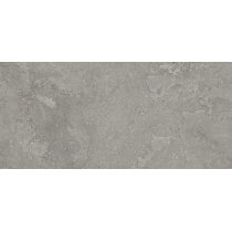 EXPANSE - 12X24 DYN, RISTORI GRAY, MATTE